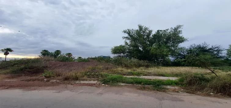 Galería 2