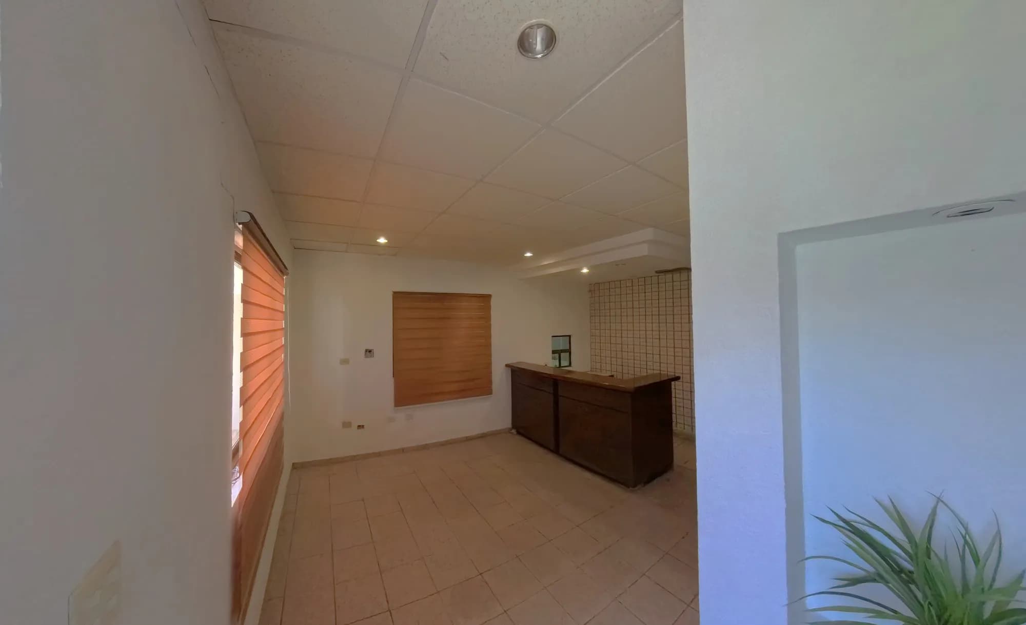 Galería 4
